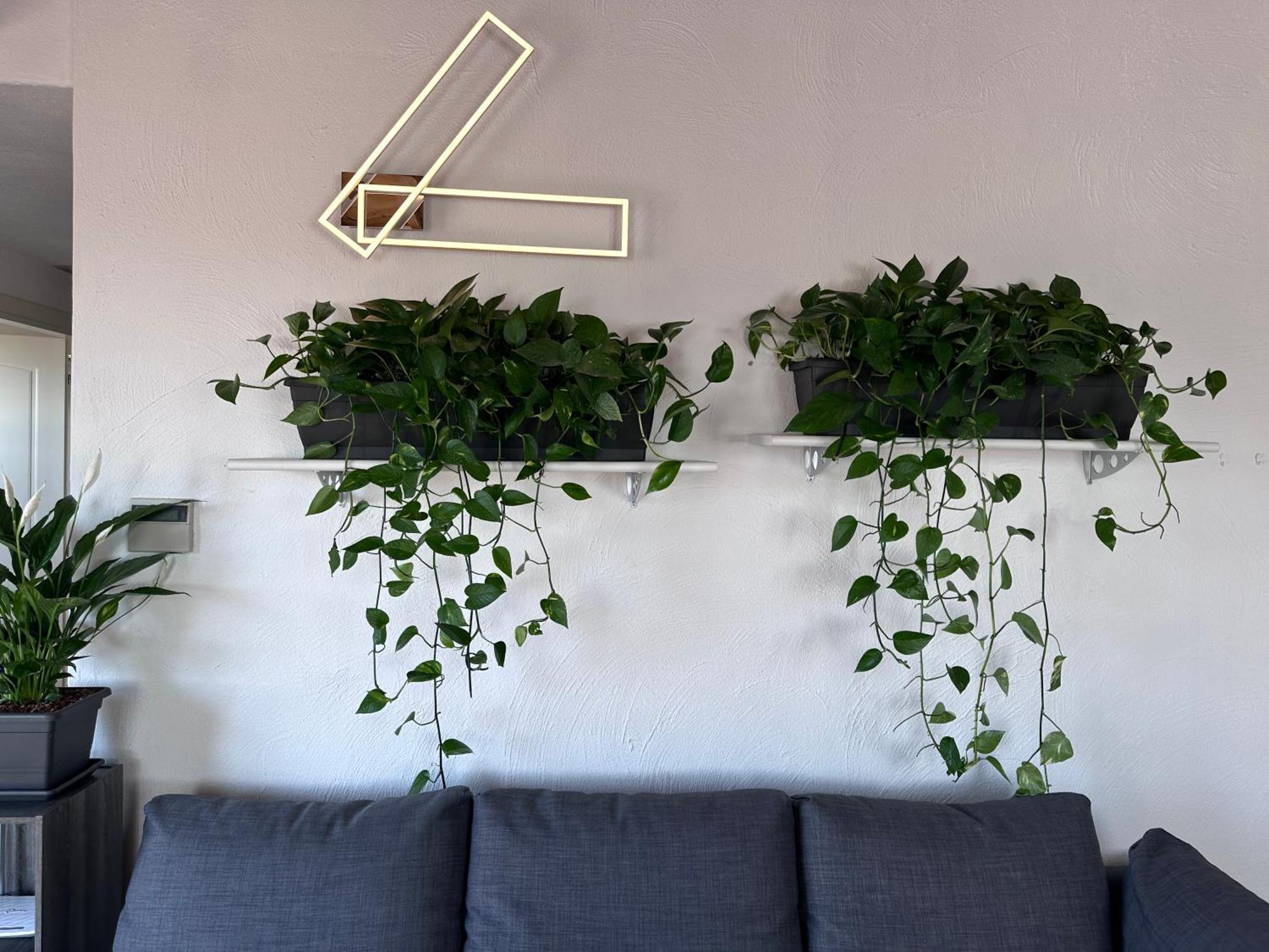 Appartamento Loft Borgo Dell'oca 21